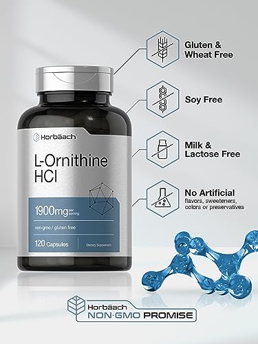 L Ornithine HCl | 1900mg | 120 Capsules | Non-GMO & Gluten Free Supplement Horbäach uk supplements