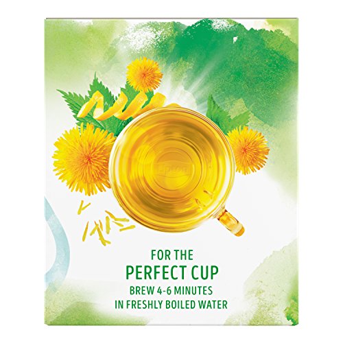 Lipton Green Tea Bags, Herbal Supplement for Detox, 15 Count (Pack of 4) Lipton uk supplements