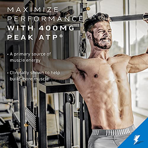 Creatine Powder | MuscleTech Cell-Tech Elite Creatine Powder | Post Workout Recovery MuscleTech uk supplements