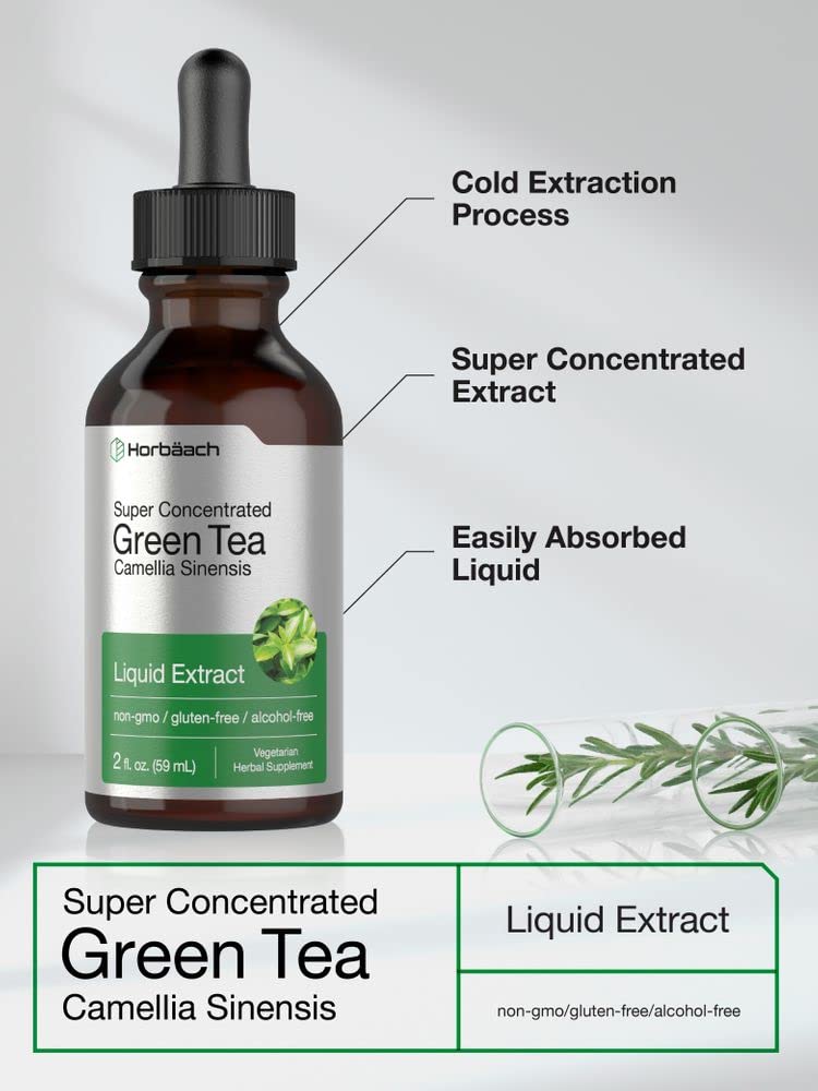 Green Tea Extract Liquid | 2 Fl Oz | Alcohol Free, Vegetarian Tincture | Super Concentrated Horbäach uk supplements