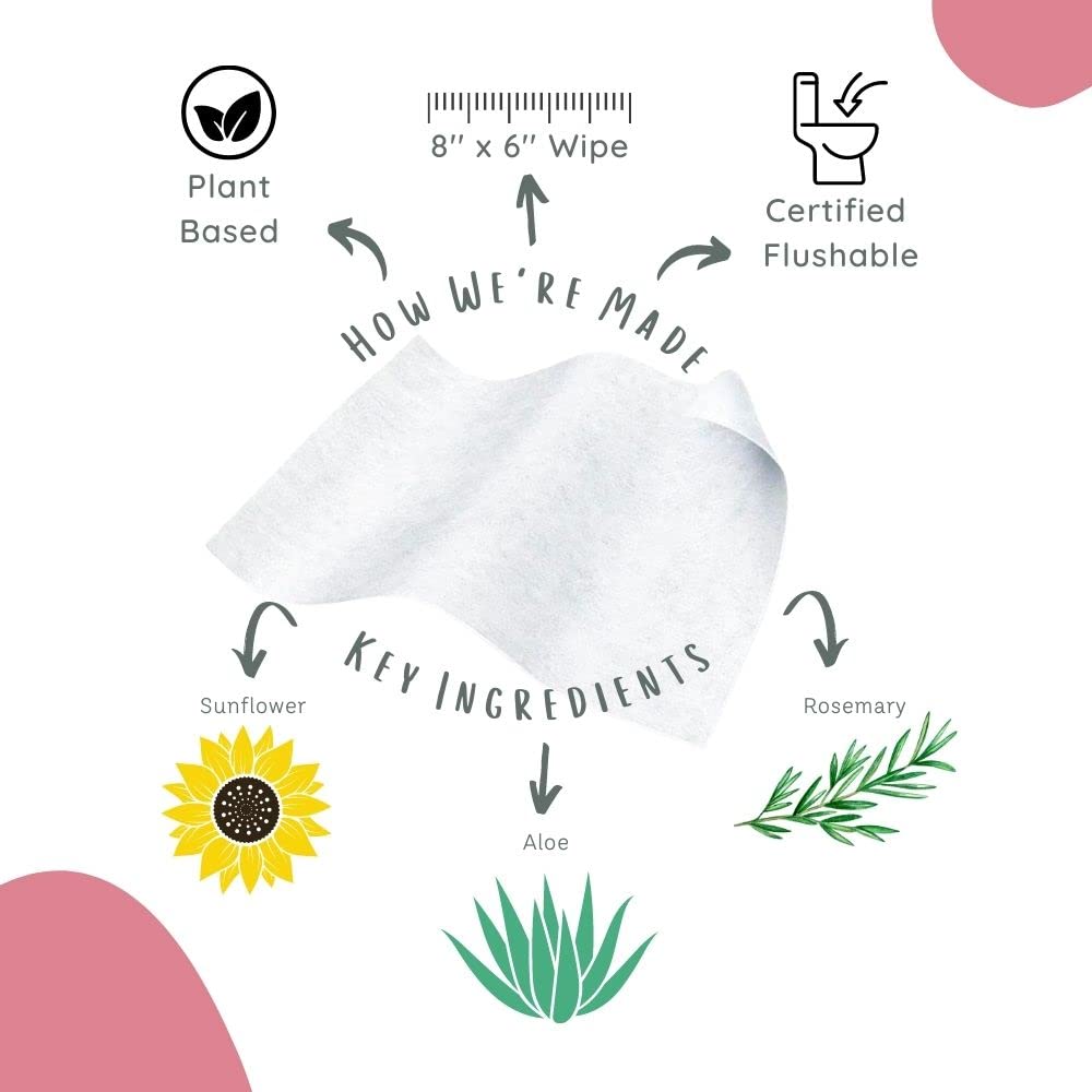 Stall Mates Wipes Feminine Fresh - Flushable | Individually Wrapped Cleansing Travel Friendly PH Stall Mates Wipes uk supplements