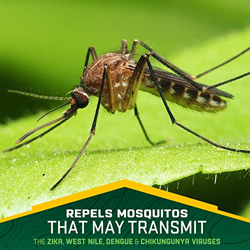 Repel Plant-Based Lemon Eucalyptus Insect Repellent, Mosquito Repellent Repel uk supplements