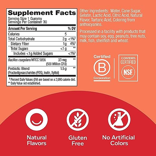 OLLY Probiotic + Prebiotic Gummy, Digestive Support and Gut Health OLLY uk supplements