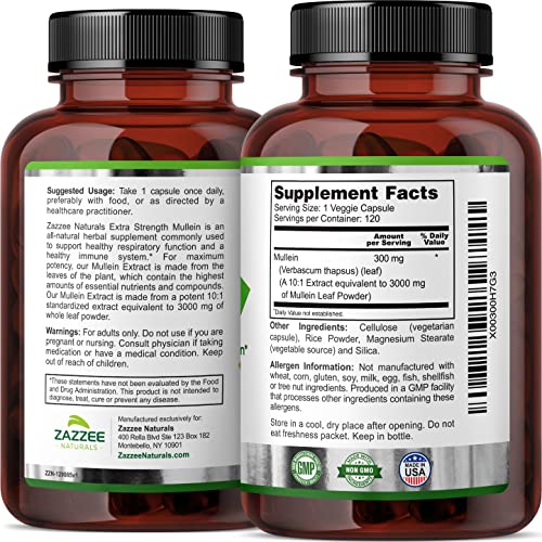 Zazzee Extra Strength Mullein 10:1 Extract, 3000 mg Strength, 120 Vegan Capsules Zazzee uk supplements
