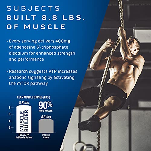 MuscleTech Muscle Building Supplements for Men & Women - Nitric Oxide MuscleTech uk supplements