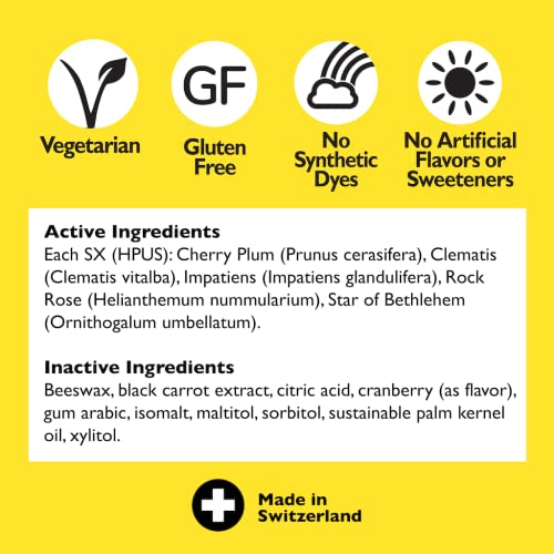 Bach RESCUE PASTILLES, Cranberry Flavor, Natural Stress Relief Lozenges RESCUE uk supplements