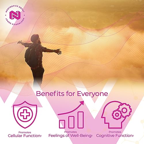 Nootropics Depot Berberine HCL + Silymarin Capsules | 500mg + 90mg | 180 Count Nootropics Depot uk supplements