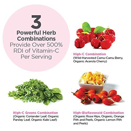 Dr. Schulze's | Super-C Plus Powder | Vitamin C Complex | Clinical Herbal Formula Dr. Schulze's uk supplements