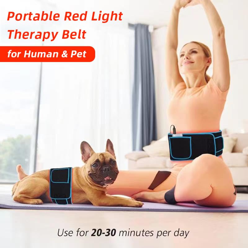 Red Light Therapy Belt, 660&850nm 3 -in-1 Big Chips Near Infrared Therapy Wrap for Body HEDYNSHINE uk supplements