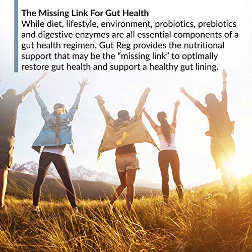 BioTrust Gut Reg Supports a Healthy Gut Lining, Helps Restore Gut Health BioTrust uk supplements
