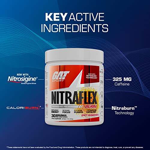 GAT SPORT NITRAFLEX Burn, Pre Workout Thermogenic Powder, Apple Melon, 30 Servings GAT SPORT uk supplements