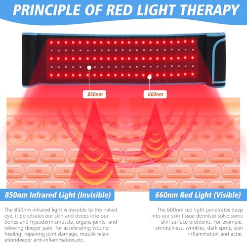 Red Light Therapy Near Infrared Light Therapy Wrap Belt for Body with Timer for Waist Back Shoulder AKYSUN uk supplements