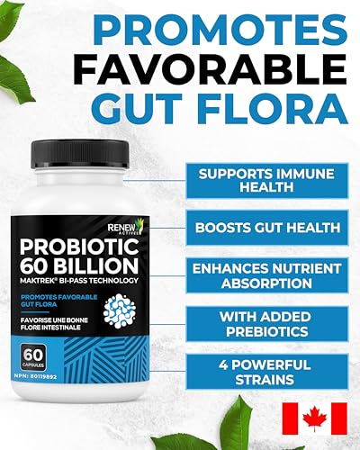 Renew Actives Probiotic Supplement for Digestive Health 60 Billion CFU per 2 Capsules - Advanced Formula with Prebiotic Benefits - Supports Gut Flora Balance & Wellness - Made in Canada - 60 Capsules Renew Actives uk supplements