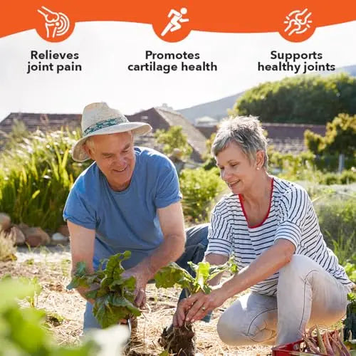LifeSeasons Mobili-T - Joint Support Supplement - Reduces Aches & Discomforts - Increase Range of Motion - Rebuild Tissue & Cartilage - MSM Chondroitin Collagen Glucosamine & Turmeric - 208 Capsules LifeSeasons uk supplements