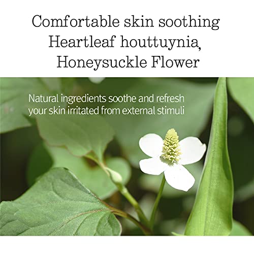 Pyunkang Yul Low pH Feminine Wash with Green Tea, Cica, Moisturizing for Women Vaginal Health Pyunkang Yul uk supplements