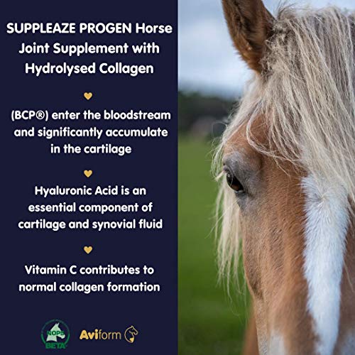Aviform SUPPLEAZE PROGEN Horse Joint Supplement with Hydrolysed Collagen 1kg Aviform uk supplements