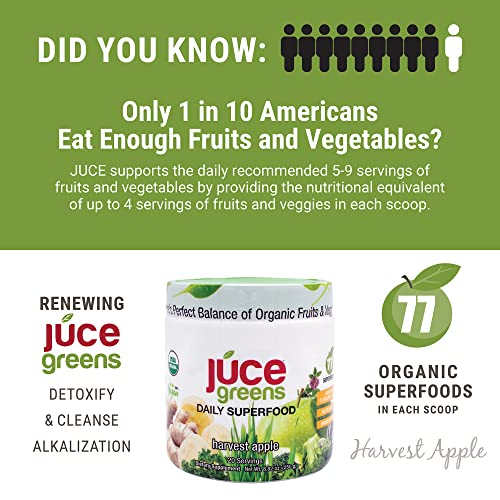 Terra Kai Organics JUCE Green Superfood Powder, Organic Fruits and Veggies Supplement Terra Kai Organics uk supplements
