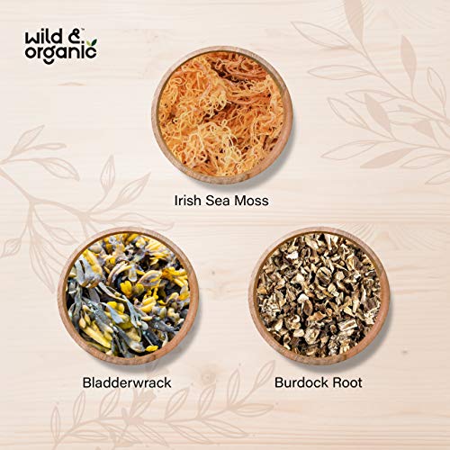 Sea Moss Capsules - 180 Caps Wildcrafted Irish Moss, Burdock Root & Bladderwrack Wild & Organic uk supplements
