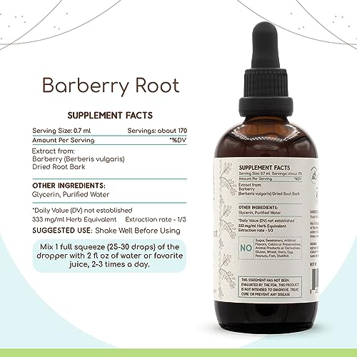 Barberry Root B120 Alcohol-Free Herbal Extract Tincture, Concentrated Liquid Drops Natural Barberry HerbEra uk supplements