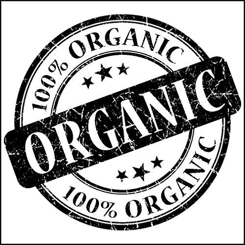 Canah Hemp Up Organic Protein Shake Powder – Muscle gain & Boost up Immune System, HEMP UP! uk supplements