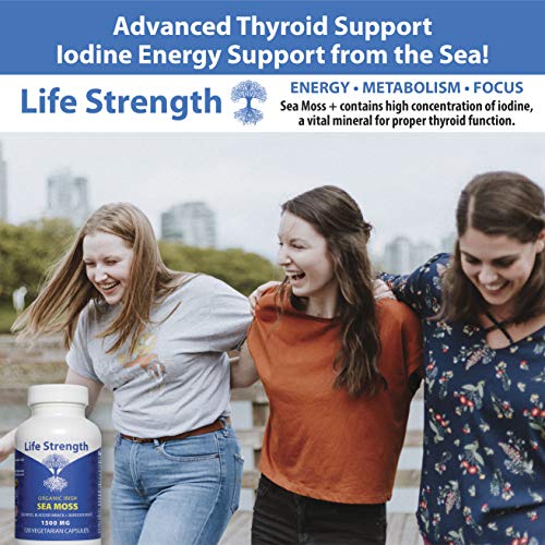 Life Strength Organic Sea Moss 120 CT Wildcrafted Irish Sea Moss and Bladderwrack Burdock Life Strength uk supplements