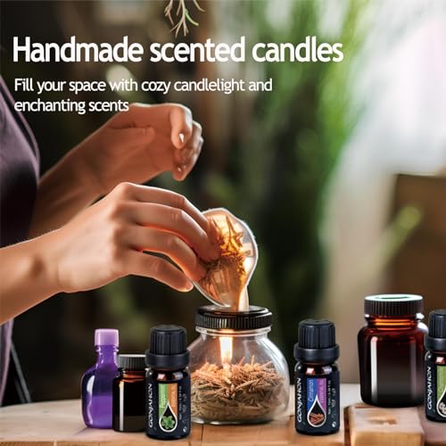 KMSCO Essential Oils Set -Top 16(0.33Fl Oz) Organic Plant Natural Fragrance Scents Blends Oil KMSCO uk supplements