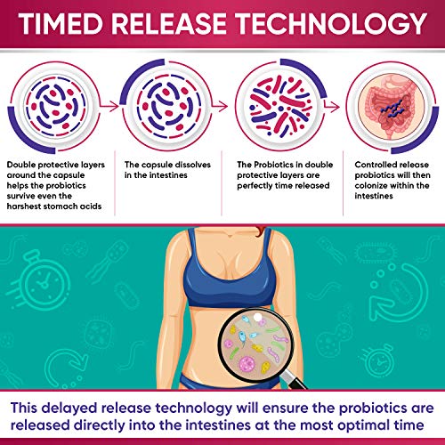 Dr. Formulated Raw Probiotics for Women 100 Billion CFUs with Prebiotics Wholesome Wellness uk supplements