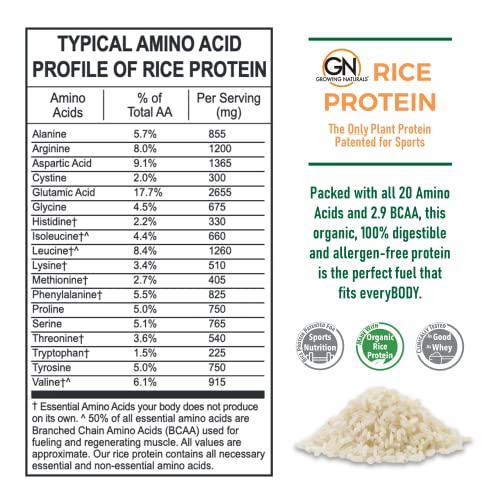 Growing Naturals | Vanilla Rice Powder 15g Plant Protein | 2.8G BCAA, Low-Carb Growing Naturals uk supplements