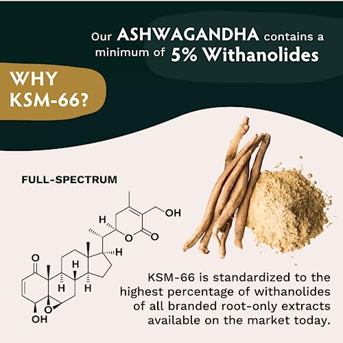 TRIBE ORGANICS Vegan Ashwagandha KSM 66 Pure Organic Root Powder Extract Ayurvedi TRIBE ORGANICS uk supplements
