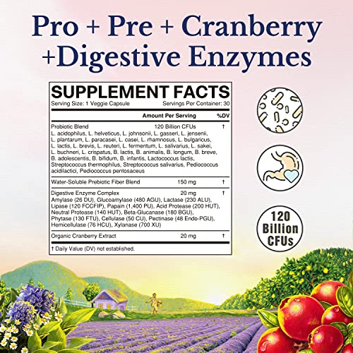 VITALITOWN Women's Probiotics 120 Billion CFUs 1 Daily, 30 Strains, with Prebiotics VITALITOWN uk supplements