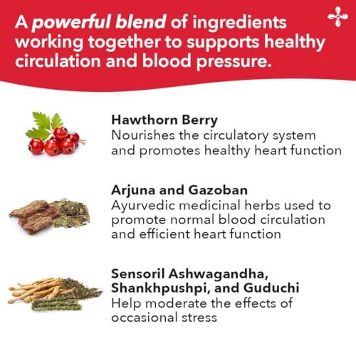 LifeSeasons B/P Stabili-T - Blood Pressure Support - Vitamin Supplement for Healthy Heart & Circulation - Ashwagandha, Arjuna & Hawthorn Berry - 240 Capsules LifeSeasons uk supplements