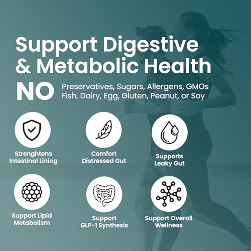 Akkermansia Muciniphila Probiotics for Digestive Health - 5 Billion TFU Akkermansia Probiotic UpNourish uk supplements