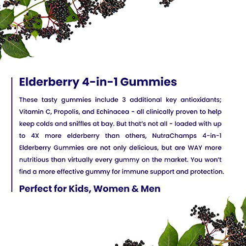NutraChamps Elderberry Gummies with Vitamin C, Propolis & Echinacea NutraChamps uk supplements