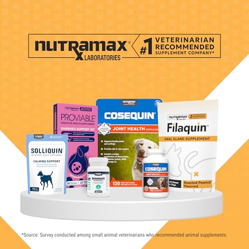 Nutramax Filaquin Anal Gland Supplement for Dogs, from The Same Company as Cosequin & Proviable, with Pre & Postbiotics and Psyllium Husk Fiber to Support Anal Gland Health, 90 Count Soft Chews Nutramax Laboratories uk supplements
