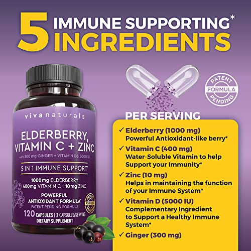 Viva Naturals Sambucus Elderberry with Vitamin C and Zinc for Adults - 5 in 1 Sambucus Viva Naturals uk supplements