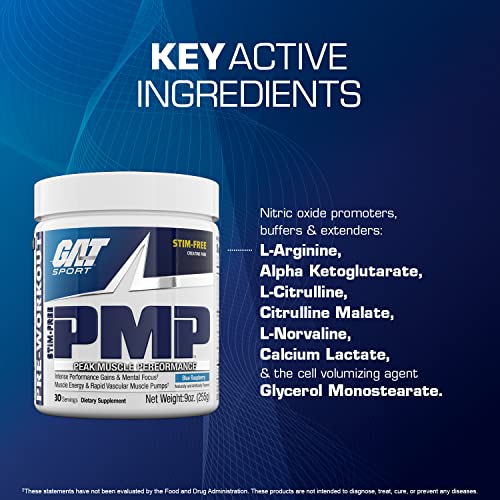 GAT SPORT PMP (Peak Muscle Performance), Pre-Workout, 30 Servings (Blue Raspberry GAT SPORT uk supplements