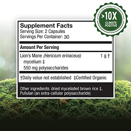 Host Defense, Lion's Mane Capsules, Promotes Mental Clarity, Focus and Memory Host Defense uk supplements