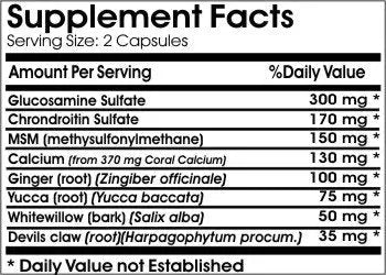 Active Joint Support // 90 Capsules // Pure // by PureControl Supplements PureControl Supplements uk supplements