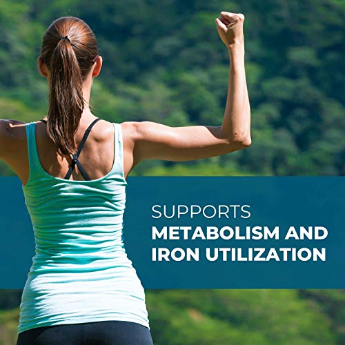 Seeking Health Molybdenum 500, Molybdenum Glycinate Chelate Supplement Seeking Health uk supplements