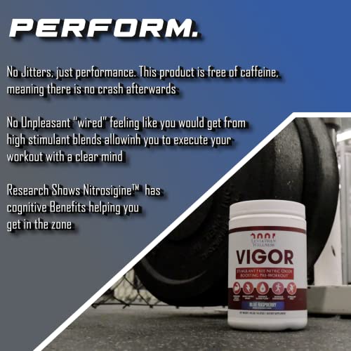Leviathan Wellness Vigor - Stimulant Free, Nitric Oxide Boosting Pre-Workout Powder Leviathan Wellness uk supplements
