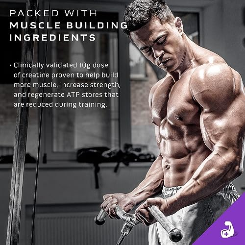 Muscletech Mass Gainer Mass-Tech Extreme 2000, Muscle Builder Whey Protein Powder MuscleTech uk supplements