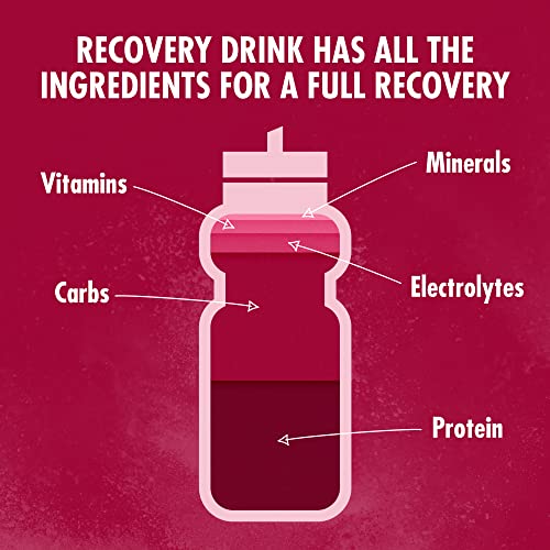 HIGH5 Recovery Drink | Whey Protein Isolate | Promotes Recovery | (Berry, 450g) HIGH5 uk supplements