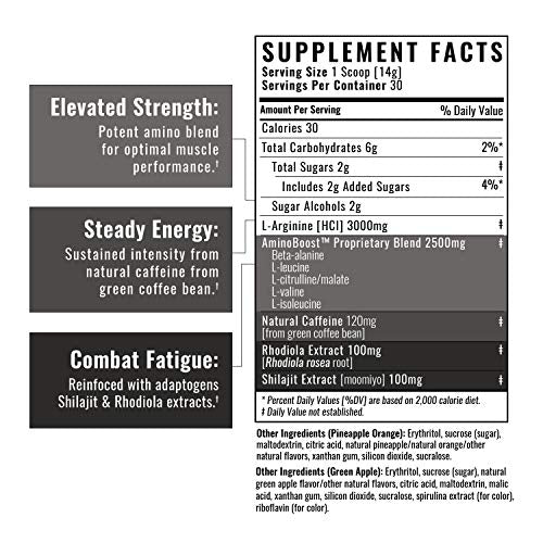 Wilderness Athlete - Brute Force Pre-Workout | Best Pre Workout Powder for Women & Men Wilderness Athlete uk supplements