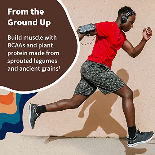 Garden of Life Vegan Protein Powder - 22g Raw Plant Protein, BCAAs, Probiotics Garden of Life uk supplements