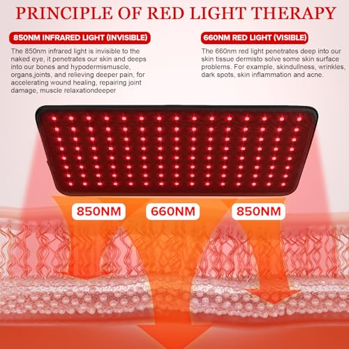 Yofalo 660nm LED Red Light and 850nm Near Infrared Red Light Therapy Belt Device for Body Pain Waist yofalo uk supplements