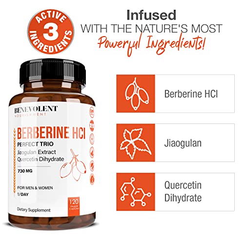 Premium Berberine HCL 730mg - 120 VCAPS Perfect Trio Complex with Non-GMO Jiaogulan Benevolent Nourishment uk supplements