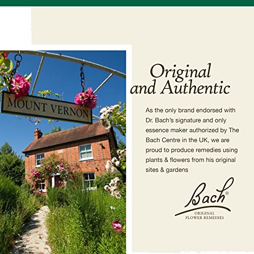 Bach Original Flower Remedies, Walnut for Adapting to Change (Non-Alcohol Formula) Bach uk supplements