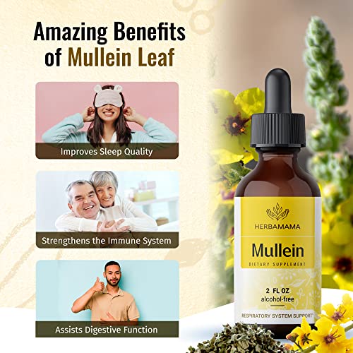 Mullein Leaf Tincture - Lung Cleanse - Vegan Lung Detox - Respiratory Health HERBAMAMA uk supplements