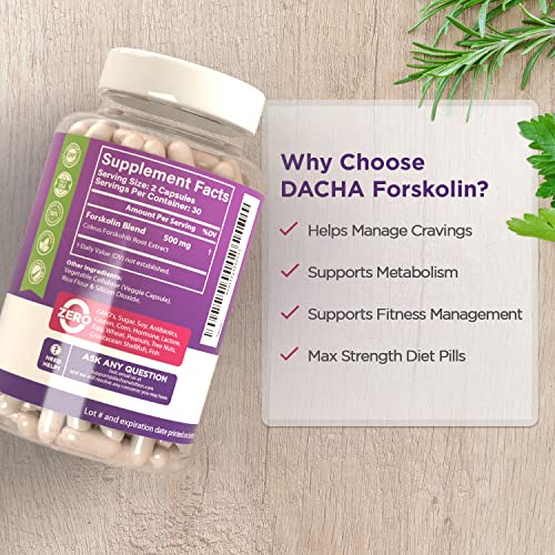 DACHA Natural Forskolin Max Strength Formula- 500mg Coleus Extract, Keto Diet Pills That DACHA uk supplements