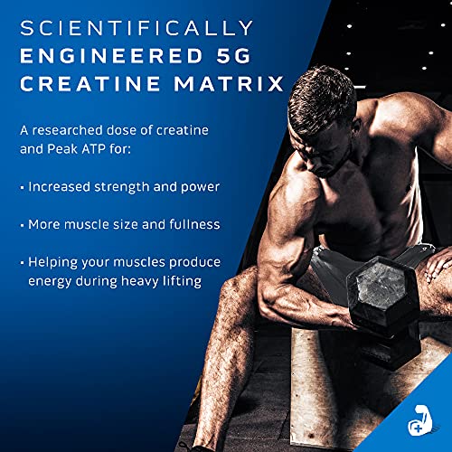 Creatine Powder | MuscleTech Cell-Tech Elite Creatine Powder | Post Workout Recovery MuscleTech uk supplements